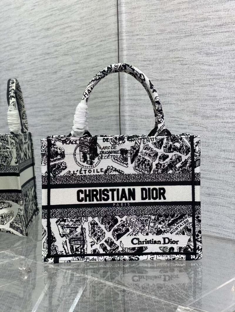 Christian Dior Shopping Bags